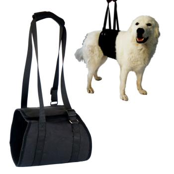 Tragehilfe für Hunde