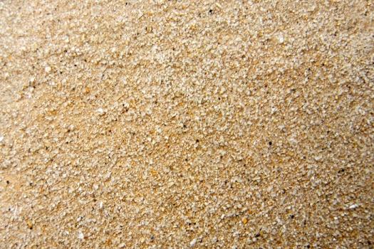 Vogelsandteppich Nahansicht