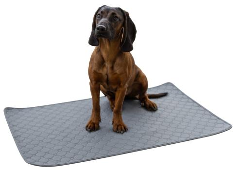 Inkontinenzunterlagen, waschbar (4 Stück) für Hunde und Katzen, sehr saugfähig, auch ideal als Auflage für Hundebett und Sofa