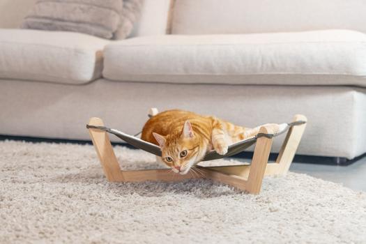 Designed by Lotte Hängematte Gaia Echtholz - Liegemulde für Katzen und kleine Hunde, waschbar