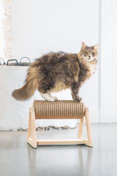 Katzenkratzbaum Yves - Kratzrolle für Katzen Kratzstamm Designed by Lotte