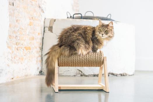 Katzenkratzbaum Yves - Kratzrolle für Katzen Kratzstamm Designed by Lotte