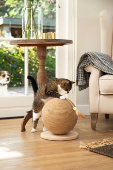 Kratzball Balty - kleiner Katzen Kratzbaum auch für Kitten - Designed by Lotte