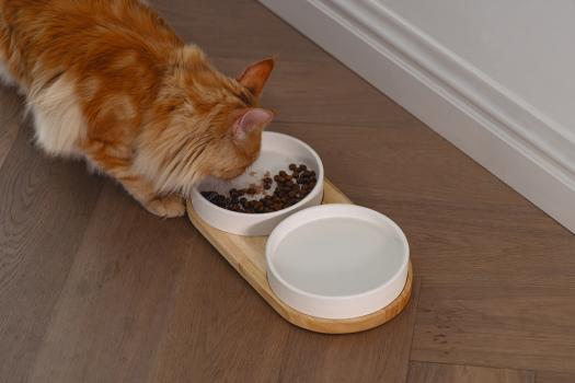Dinnerset Lojs Designed by Lotte, Katzennäpfe, Napfset aus Holz mit Keramiknäpfen, Futterbar für Katzen