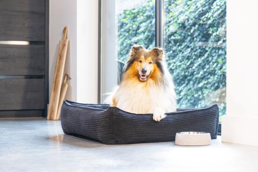 Cord Hundebett anthrazit Designed by Lotte ribbed