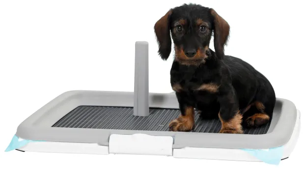 Welpentoilette Puppy Training - Hundetoilette für kleine Hunde mit Baumimitation
