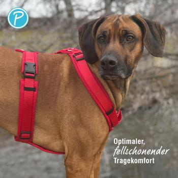 Petlando Geschirr Mesh Y-Comfort Brustgeschirr für Hunde - Hundegeschirr