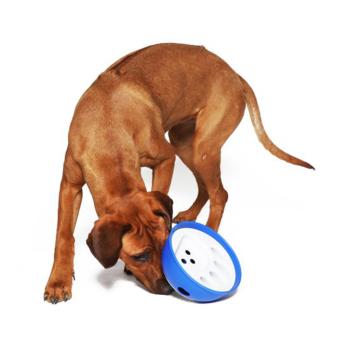 Intelligenzspielzeug und Antischlingnapf in einem