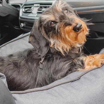 Autositz und Reisebett Nobby Kadek für kleine Hunde - Hundebett, Schondecke mit Anschnallgurt und Befestigung am Beifahrersitz