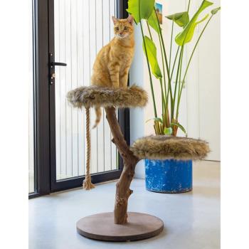 Katzenkratzbaum Naturholz Designed by Lotte Aviva-  Katzenbaum aus Echtholz