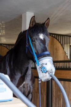 Hippomed AirOne inkl. Maske - Ultraschall-Inhalator für Pferde