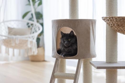 Banana Leaf Katzen-Kratzbaum Kerbl Waxy 104 cm - Katzenbaum mit handgeflochtenen Liegeflächen aus Bananenblättern