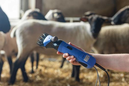 Kerbl Schafschermaschine FarmClipper 4 inkl. Schermesser Set - Schermaschine für Schafe