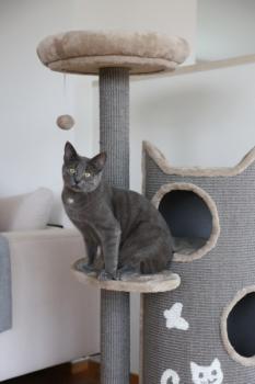 Kratzbaum mit Kratztonne Kerbl Tiana - 130 cm - grau