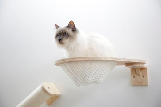 Kerbl Kletterwand Anden für Katzen Echtholz - Katzenspielplatz zur Wandbefestigung