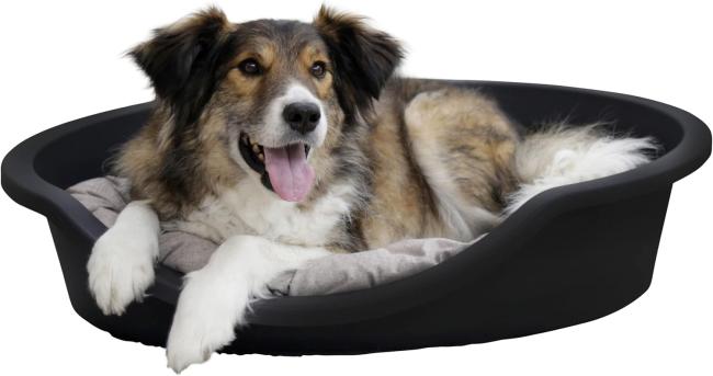 Hundekorb Kunststoff recycelt