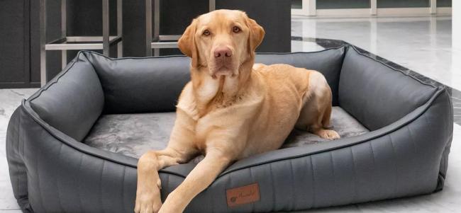 Petlando Hundebett Linz Ortho anthrazit - Kunstleder - orthopädisches Zweischichtsystem Viskoschaum PU-Schaum