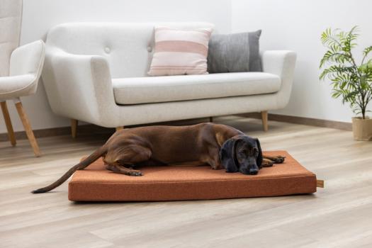 Orthopädische Matratze für Hunde Kerbl Oliver Memory-Foam - Ortho-Hundekissen, Polstermöbelstoff, Bezug waschbar