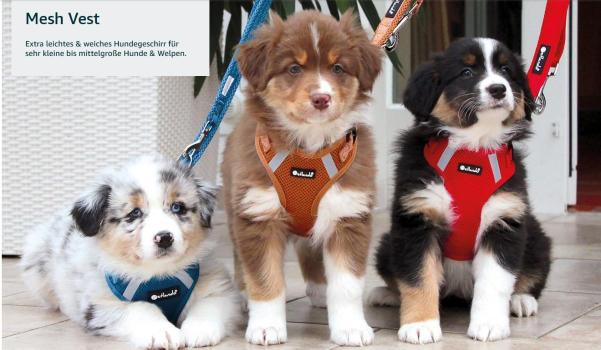 Petlando Mesh Vest Geschirr - Hundegeschirr - Brustgeschirr für kleine bis mittelgroße Hunde und Welpen