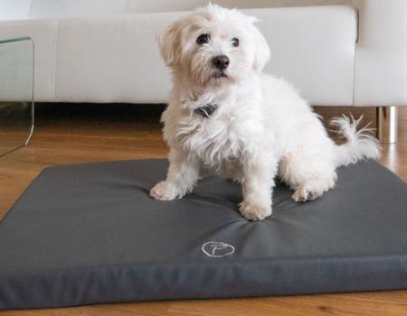 Petlando Milton Ortho - Orthopädische Hundematte - Lederimitat- abwischbar- anthrazit