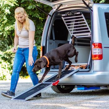 Einstiegshilfe für Hunde in den Kofferraum, faltbar - Aluminium Hunderampe für große Hunde bis 75 kg