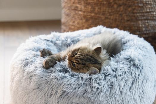 orthopädisches Katzenbett Siba