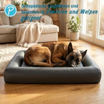 Petlando Orthopädisches Hundebett Livorno Ortho schwarz - Gesundheitsbett wasserdicht Bezug abnehmbar
