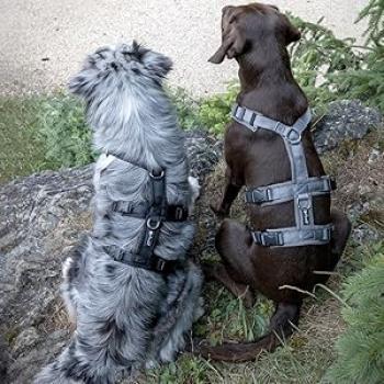 Petlando Sicherheitsgeschirr gepolstert - ausbruchsicheres Hundegeschirr - Panikgeschirr petrol, schwarz, anthrazit