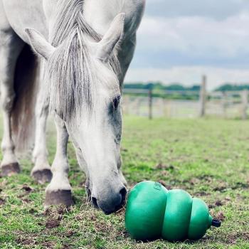 Kong für Pferde Classic Beschäftigungsspielzeug - Equine (Pferd) 12 Zoll (30cm) Classic Green 4.5lb (2kg)