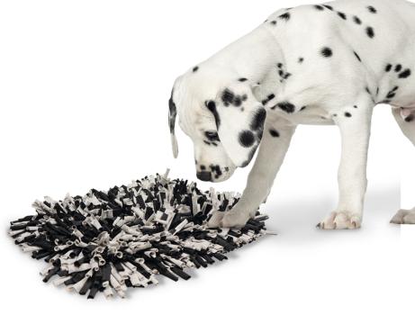 Schnüffelteppich für Hunde