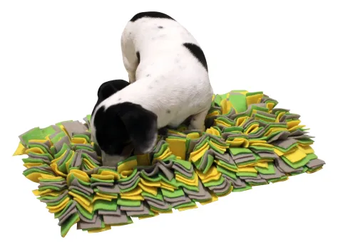 Schnüffelteppich - Schnüffelmatte für Suchspiele und Schnüffelspiele, bremst Schlinger aus (Slow Feeder)