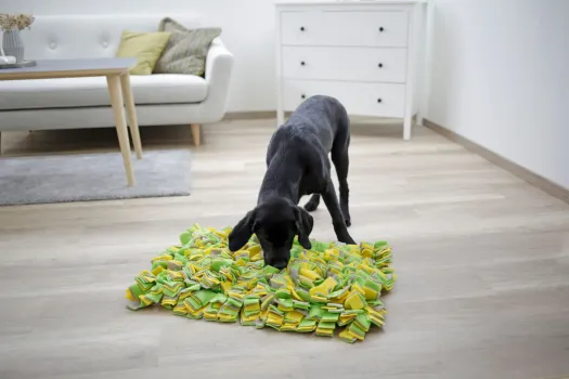 Schnüffelteppich - Schnüffelmatte für Suchspiele und Schnüffelspiele, bremst Schlinger aus (Slow Feeder)