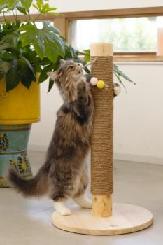 Designed by Lotte Katzenkratzbaum Sinora - 70cm - Kratzstamm für Katzen Echtholz