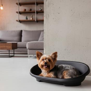 Kunststoffbett Snooze - Hundekorb - Hundebett aus Kunststoff abwaschbar, rutschfest für Hunde und Katzen