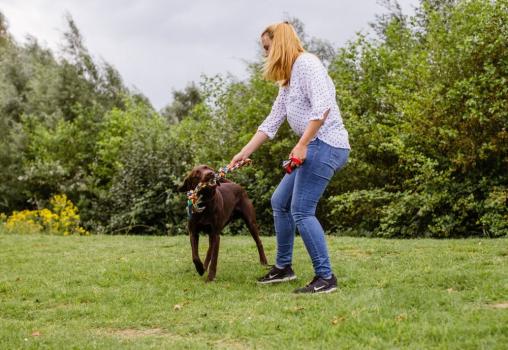 Hundespielzeug Seil mit Knoten schwer [1kg] für große Hunde - Spielseil von Nobby