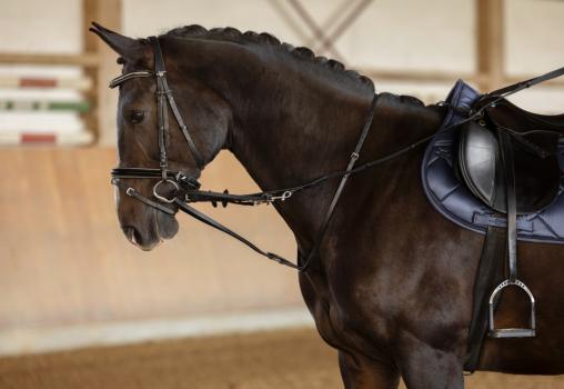 Thiedemannzügel für Ponys & Warmblut - klassische Zügel-Martingal-Kombination - Köhlerzügel