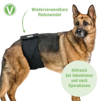 Rüdenwindeln waschbar 60 Grad - Hundewindel für Rüden mit saugfähigem Kern, geruchsarm