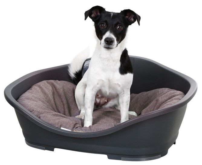 Hundekorb Kunststoff mit passendem Kissen  Lottchens Tiershop