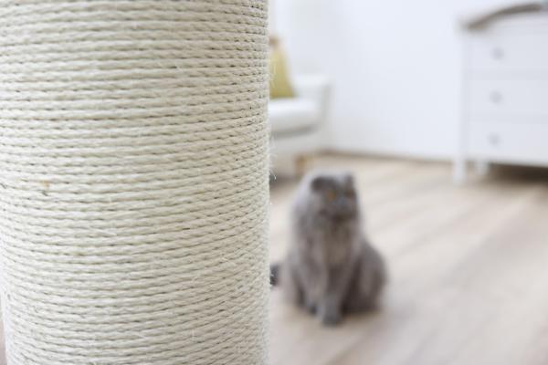 Kerbl Kratzbaum Opal Ultra 80cm - für große Katzen - Sisalstamm, Kratzstamm