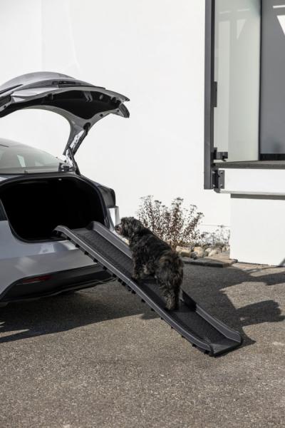Einstiegshilfe Hund Kofferraum