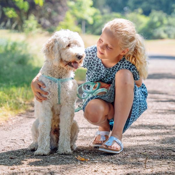 Step-in-Geschirr für Hunde - Nobby Hundegeschirr Nylon Soft Grip