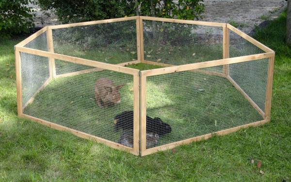 Kerbl Freilaufgehege Vario - Auslauf geeignet für Nager wie Meerschweinchen, Zwergkaninchen