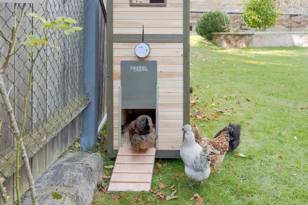 Automatische Hühnerklappe mit WLAN und App Kerbl Duo Smart