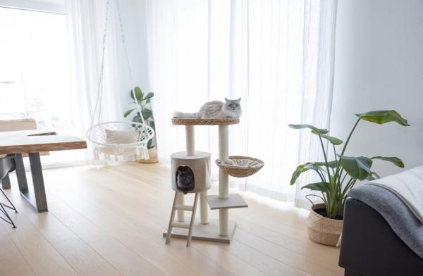 [ B-Ware ] Kratzbaum Banana Leaf Waxy von Kerbl - Höhe 104 cm