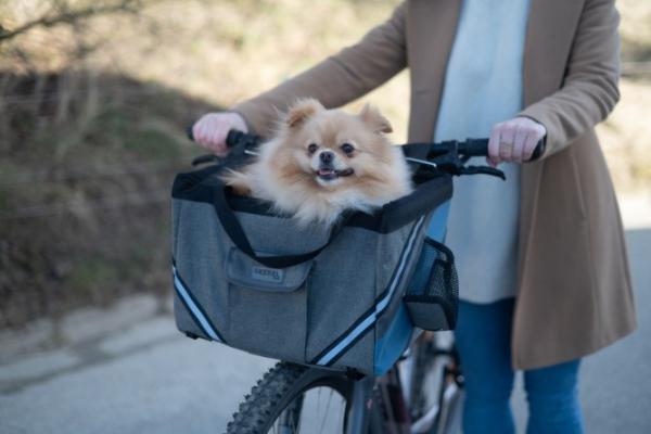 Fahrradkorb Hunde Vacation - Fahrradtasche für kleine Hunde z.B. Chihuahua, Yorkshire zum Anbringen an den Lenker