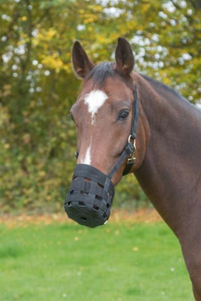 Maulkorb Pferd - Fressbremse Nylon für ein gesundes Fressverhalten