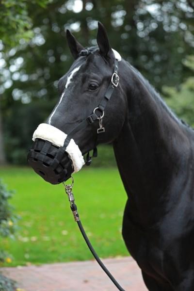 Fressbremse für Pferde - Maulkorb mir Teddyfleece gepolstert