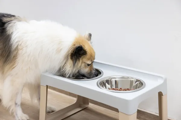 Futterbar erhöht Lifter für kleine und mittelgroße Hunde - Hundebar inkl 2 Edelstahlnäpfe Made in Italy