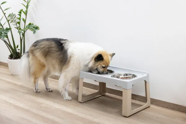 Futterbar erhöht Lifter für kleine und mittelgroße Hunde - Hundebar inkl 2 Edelstahlnäpfe Made in Italy