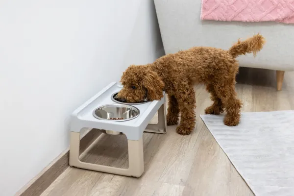 Futterbar erhöht Lifter für kleine und mittelgroße Hunde - Hundebar inkl 2 Edelstahlnäpfe Made in Italy